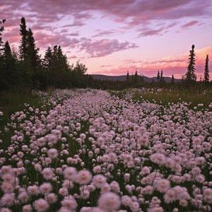 don't fall too quickly