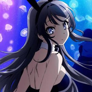 Fukashigi no Carte (Bunny Girl Senpai) (Remix)
