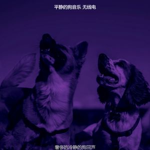 优美可爱的狗器乐