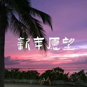 新年愿望