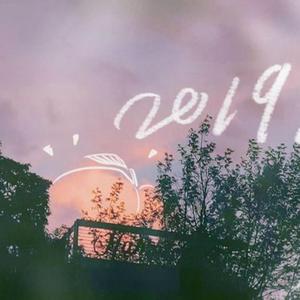 2019（Cover 某幻君）