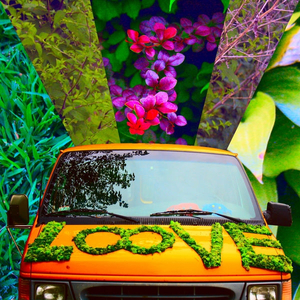 Capsules (Despaley's Extended Release Rmx)