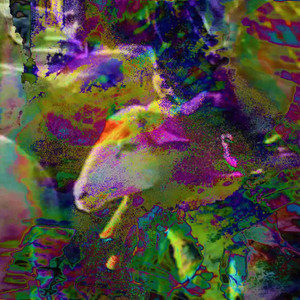Transhumance