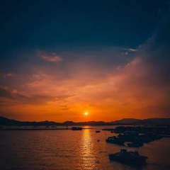 小羽毛 (DJ子龙版)