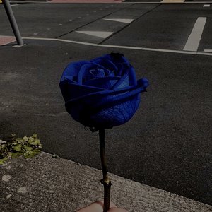 Too Early for Goodbyes