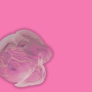 Bubble Lyssy