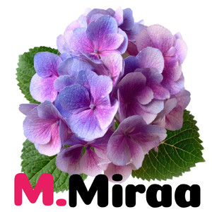 ホーリーマザーハンの決意