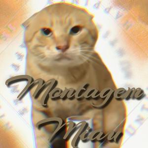 哈基米Montagem Miau（我叫小白李 remix）