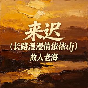 来迟(长路漫漫情依依dj)