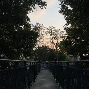 红色高跟鞋（COVER蔡健雅）