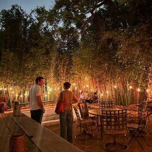 The World Makes More Sense When You're Lit