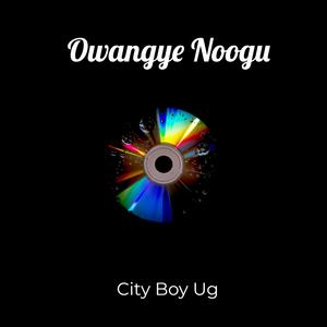 Owangye Noogu