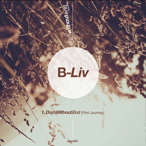 Days Without End (First Journey)