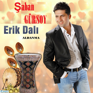 Erik Dalı