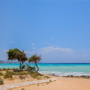 평안이 싹트는 꿈결 하루 (부드러운 피아노)