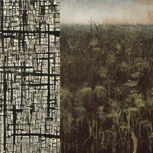 The Sound of Forgetting