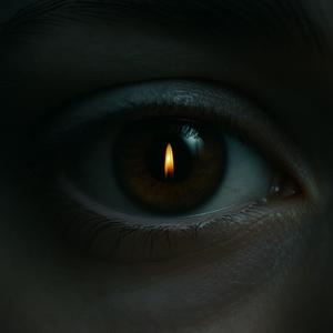 The Girl in the Portrait