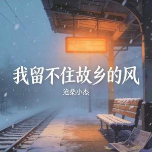 我留不住故乡的风