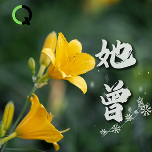 她曾