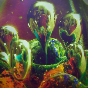 like light to a moth