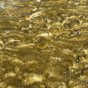 《阳光沙滩金灿灿》.wav