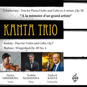 Piano Trio in A Minor, Op. 50 ''A la mémoire d'un grand artist'': I. Pezzo elegiaco. Moderato assai