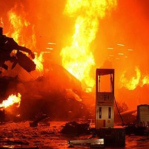 Digital Lifeforms (A B C)