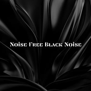 Noise-Free Black Noise