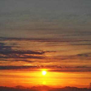 Poran Pakhi Instrumental