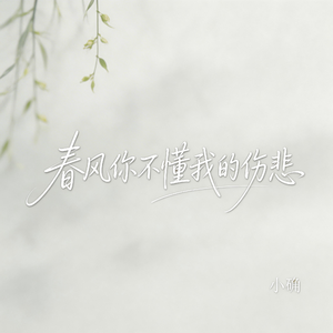 春风你不懂我的伤悲（抖音热播版）