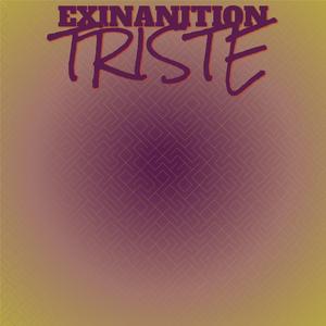 Exinanition Triste