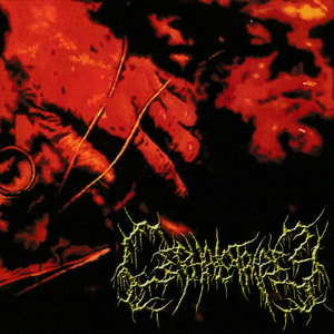 Aesthetic Upholstery of Molested Dead Flesh