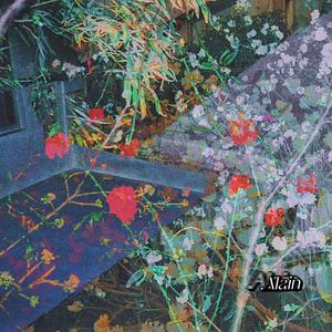 豬籠草（Prod by 10Ri& Baize）植物夜