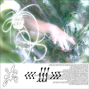 look through hallowed eyes