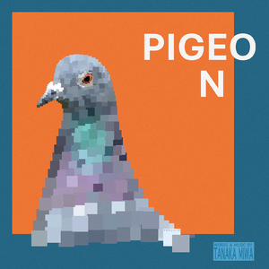 pigeon