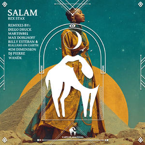Salam (Martin501 Remix)
