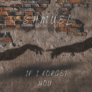 If I Forget You