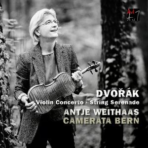 Serenade for Strings, Op. 22, B. 52:I. Moderato