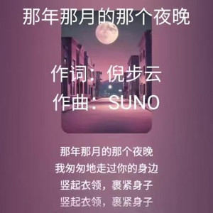 那年那月的那个夜晚