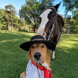 Bandana