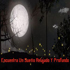 El Sistema inmune Se Energiza