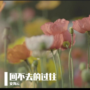 回不去的过往