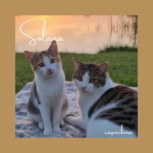 Solana (feat. SOLDADO)