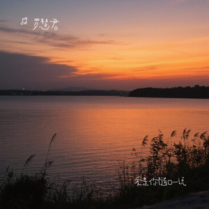 爱是你随口一说