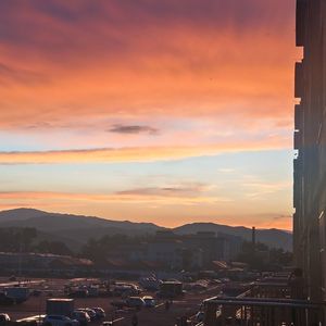 用野火烧尽哀愁