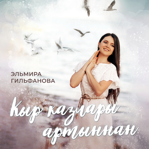 Кыр казлары артыннан