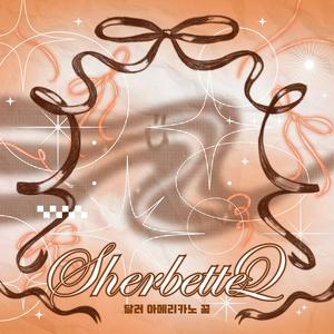 달러 아네리카노 꿈 ($AD)