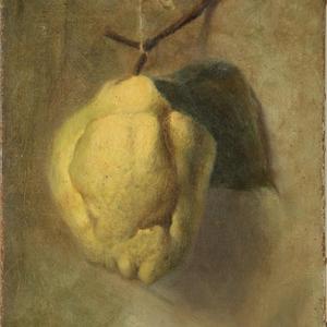 ventilateurs de deus