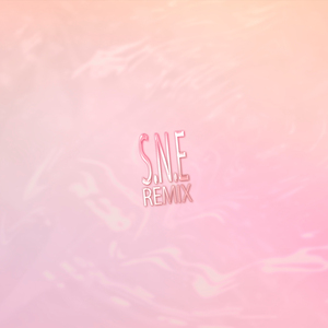S.N.E (Que No Se A Donde Voy) (Remix)