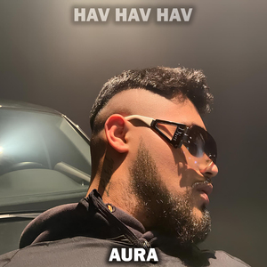 Onlar Arkadan Havlarlar